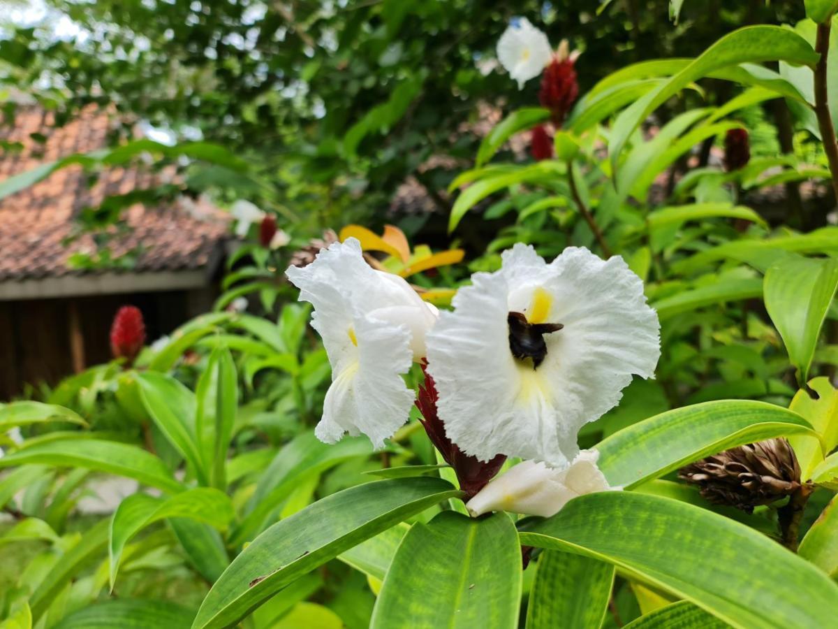 Villa Kayu Джокякарта Екстериор снимка